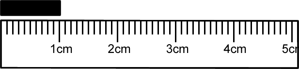 5 cm ruler