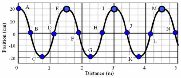 was the motion you observed in part c simple harmonic